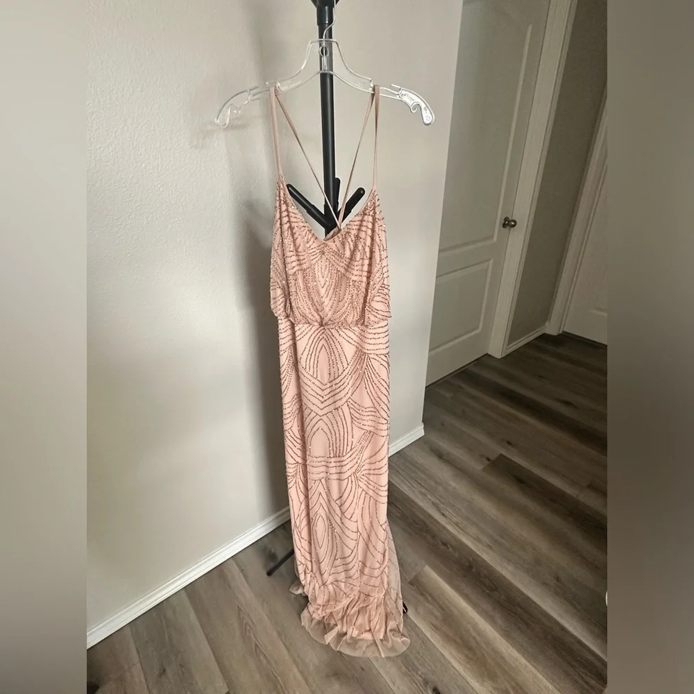 Blush Pageant/Prom Dress - Picture 3 of 4